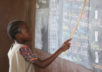 Bénin : Le directeur de l’EPP de N’Gbolade déchargé de ses fonctions (La raison)