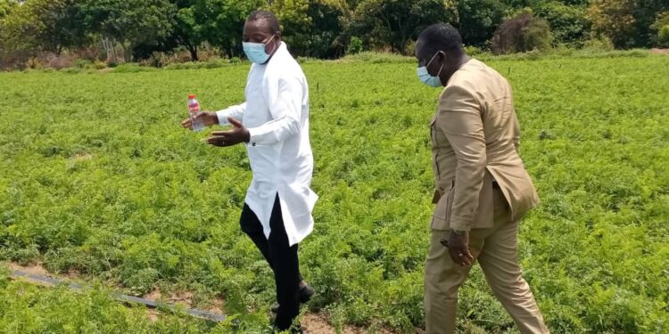 Formation agricole au Bénin : Trois nouvelles écoles professionnelles annoncées