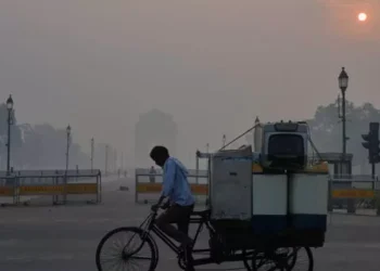 Inde : le rempart vert qui protégeait New Delhi du désert est en train d’être dévoré par…