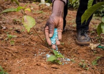 Agriculture au Bénin : Le gouvernement prend une décision face à la flambée des prix des engrais