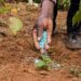 Agriculture au Bénin : Le gouvernement prend une décision face à la flambée des prix des engrais