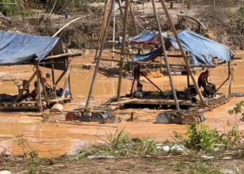 Exploitation illégale de l’or : Près de 200 sociétés minières identifiées au Cameroun
