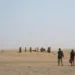 Tragédie dans le désert nigérien : 49 personnes périssent, une soixantaine secourues in extremis