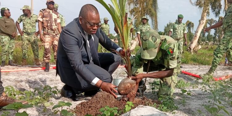 15e Journée de reboisement inter-forces : Georges Alé et les forces de défense et de sécurité œuvrent pour un Bénin plus vert