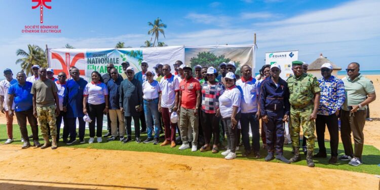 6 000 arbres mis en terre à Djègbadji : La SBEE et SOBELEC transforment Ouidah en poumon vert