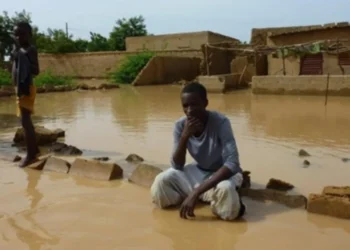 Dégâts et rues submergées : Niamey frappée par des pluies diluviennes