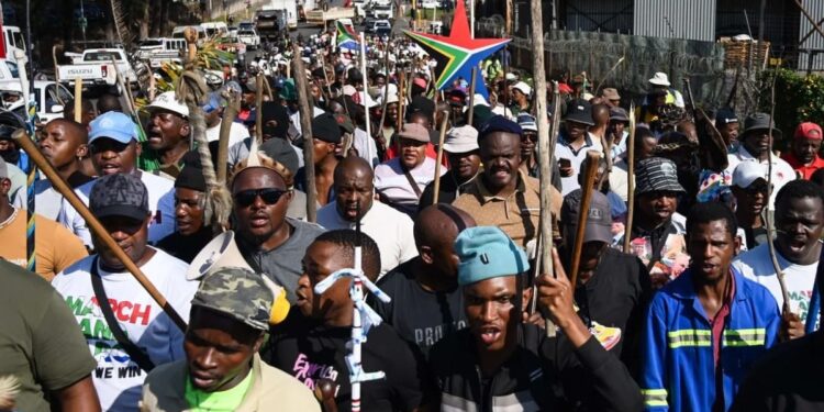 Afrique du Sud : Plus de 900 arrestations après les manifestations contre l&rsquo;immigration clandestine