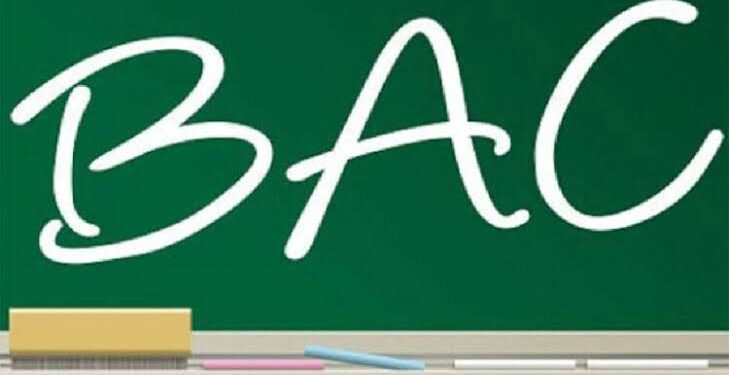 Bac 2026 : Six candidats sur dix admissibles, la série D à la traîne (les détails)