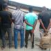 Coup de filet réussi de la police républicaine : Le gang des Bajaj de Pahou démantelé