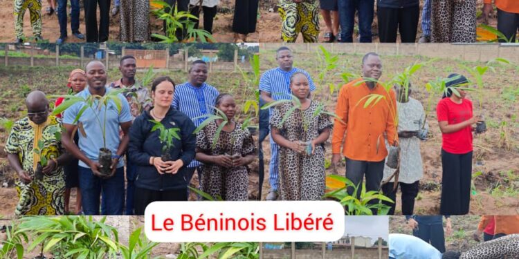 Protection de l’environnement : Parakou et Orléans font pousser un poumon vert à Titirou