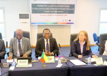 Performance fiscale : le Bénin partage son expérience à travers la formation régionale TADAT