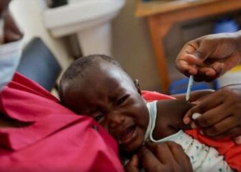 Journée mondiale du moustique : Le vaccin antipaludique change la donne en Afrique contre la maladie