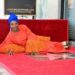 Angélique Kidjo : une étoile pour l&rsquo;Afrique, un message d&rsquo;espoir pour les générations futures
