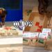 Trafic de munitions : Un suspect arrêté avec une importante cargaison à Parakou (Les détails)