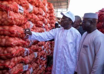 Sénégal : L’exécutif prend une décision capitale sur l’importation de l’oignon
