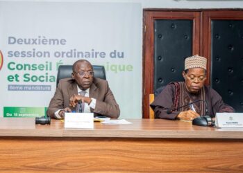 Conseils départementaux : Le CES transforme les doléances locales en stratégie nationale