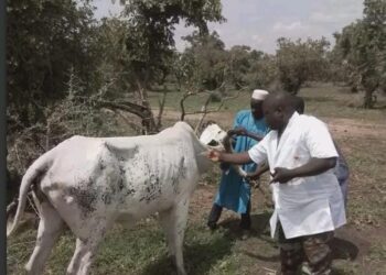 Opération Mirador dans le Nord-Bénin : La méthode civilo-militaire du gouvernement Wadagni porte ses fruits (les détails)